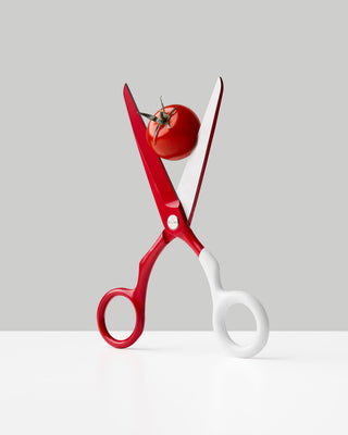 Craighill - Spectra Scissors