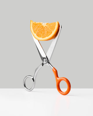 Craighill - Spectra Scissors