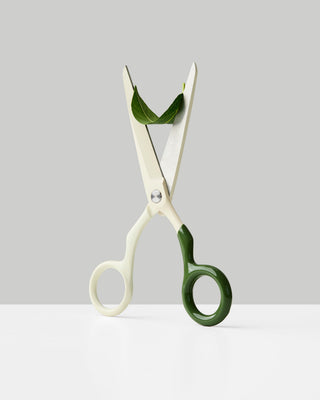 Craighill - Spectra Scissors