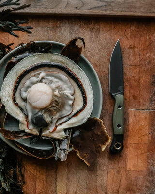 Benchmade - 3 Piece Set - KOHEZI