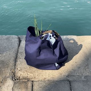 Veark - CarryAll Bag