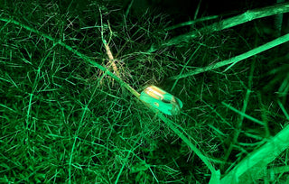CW&T - 1P Flashlight - KOHEZI