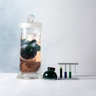 Kakimori - Colour specimen 180 - KOHEZI