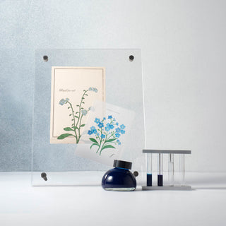 Kakimori - Colour specimen 185 - KOHEZI