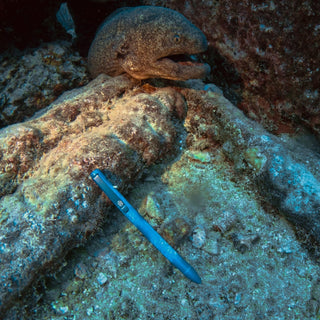 Tactile Turn - Deep Sea Seasonal Release - KOHEZI