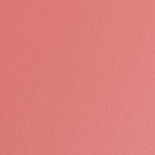 TOYO STEEL - Camber - top Toolbox Y - 350 P0 (Living Coral) - KOHEZI