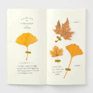 TRAVELER'S COMPANY - 025 MD Paper Cream Refill TRAVELER'S notebook - KOHEZI