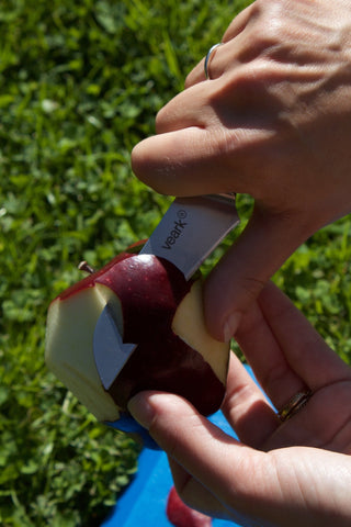 Veark - TRK07 Forged Turning Knife - KOHEZI