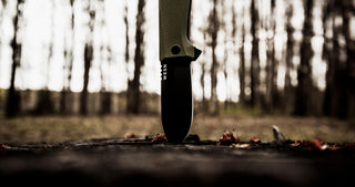 WESN - The Allman - KOHEZI