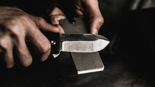 WESN - The Allman - KOHEZI