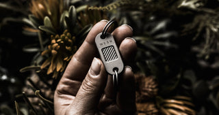 WESN - The QR - KOHEZI