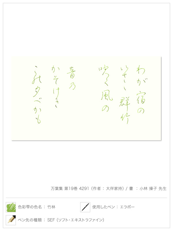Pilot Iroshizuku - Chiku-Rin Green Ink (Shades of Green)-KOHEZI