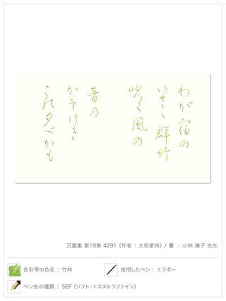 Pilot Iroshizuku - Chiku - Rin Green Ink (Shades of Green) - KOHEZI