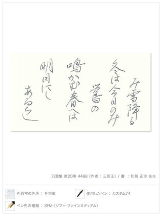 Pilot Iroshizuku - Fuyu - Syogun Grey Ink (Shades of Grey) - KOHEZI