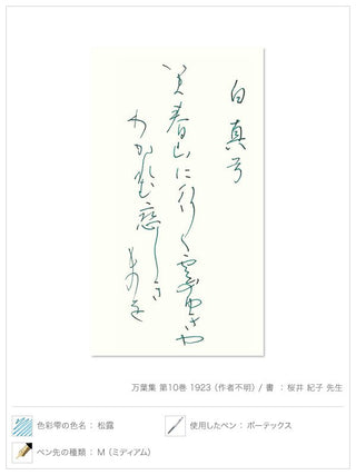 Pilot Iroshizuku - Syo - Ro Green Ink (Shades of Green) - KOHEZI