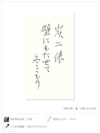 Pilot Iroshizuku - Take - Sumi Black Ink (Shades of Grey) - KOHEZI