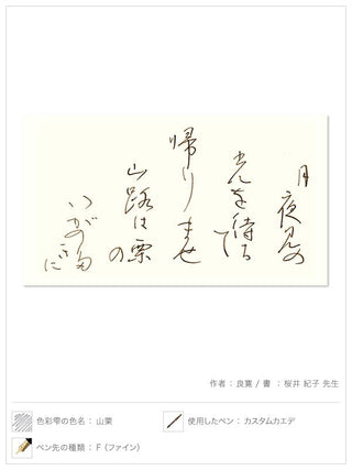 Pilot Iroshizuku - Yama - Guri Brown Ink (Shades of Brown) - KOHEZI