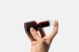 TOOLS to LIVEBY - Fountain Pen Ink - KOHEZI