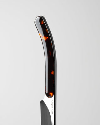 Craighill - Best Champagne Saber - KOHEZI