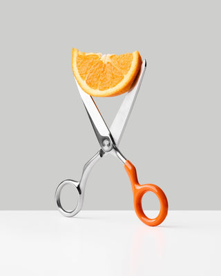 Craighill - Spectra Scissors - KOHEZI