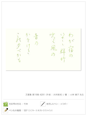 Pilot Iroshizuku - Chiku-Rin Green Ink (Shades of Green)-KOHEZI